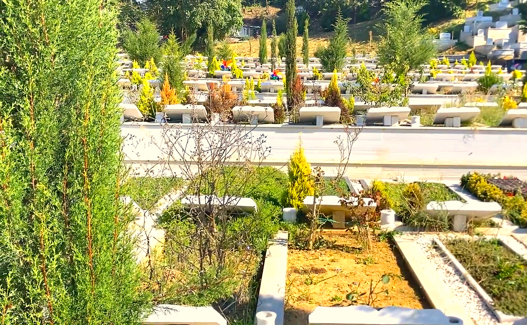KÖTÜ KALPLİ AKRABALAR KARNAVALI